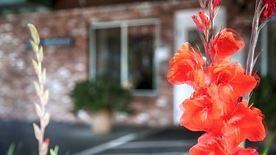 Best Western Vista Manor Lodge