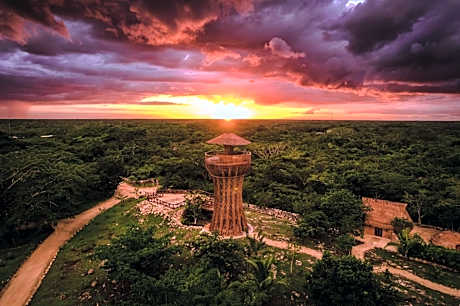 Destino Mio Mayan Jungle Retreat