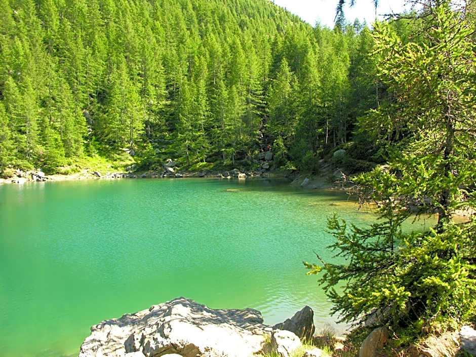 Alps Oriental Wellness HOTEL