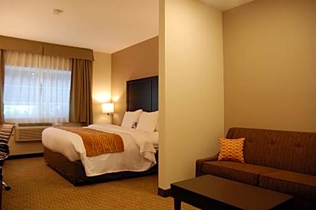 1 King Bed, Suite, Nonsmoking