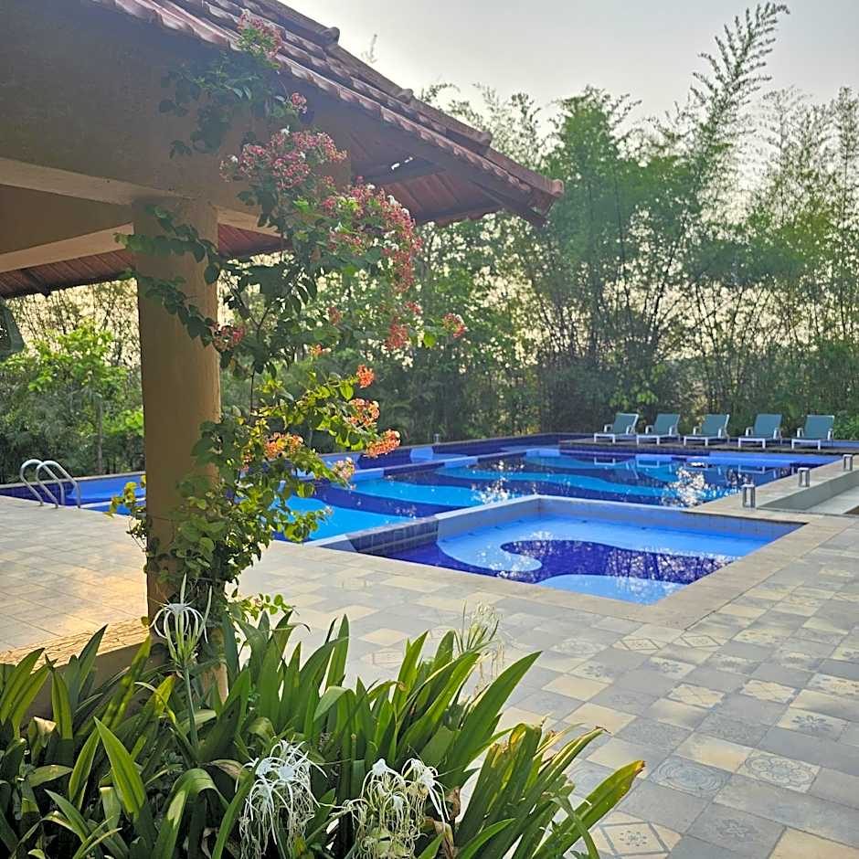 The Celebration Van Vilas