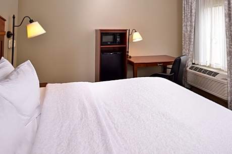 1 King Bed Nonsmoking