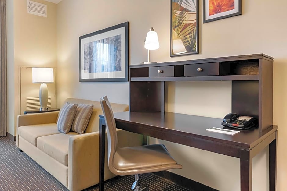 Staybridge Suites St. Petersburg Fl