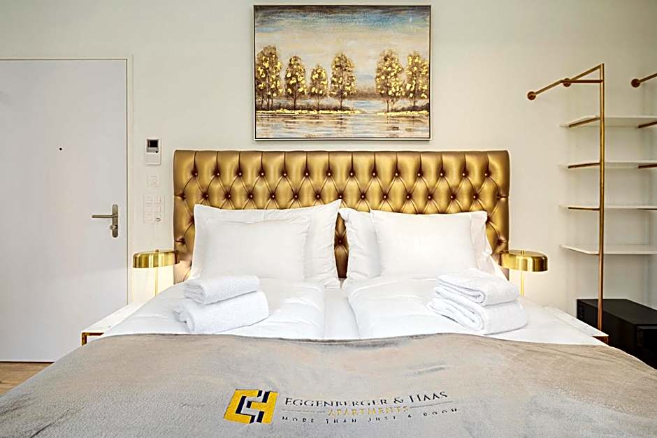 VISIMO Apartments Mühlensteg St Gallen - Elegant Quiet Central