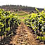 Baglio Caruana Cantina & Relais