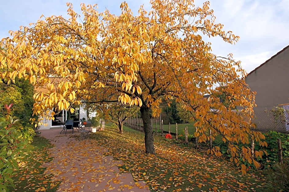 Les Chambres de La Maxe