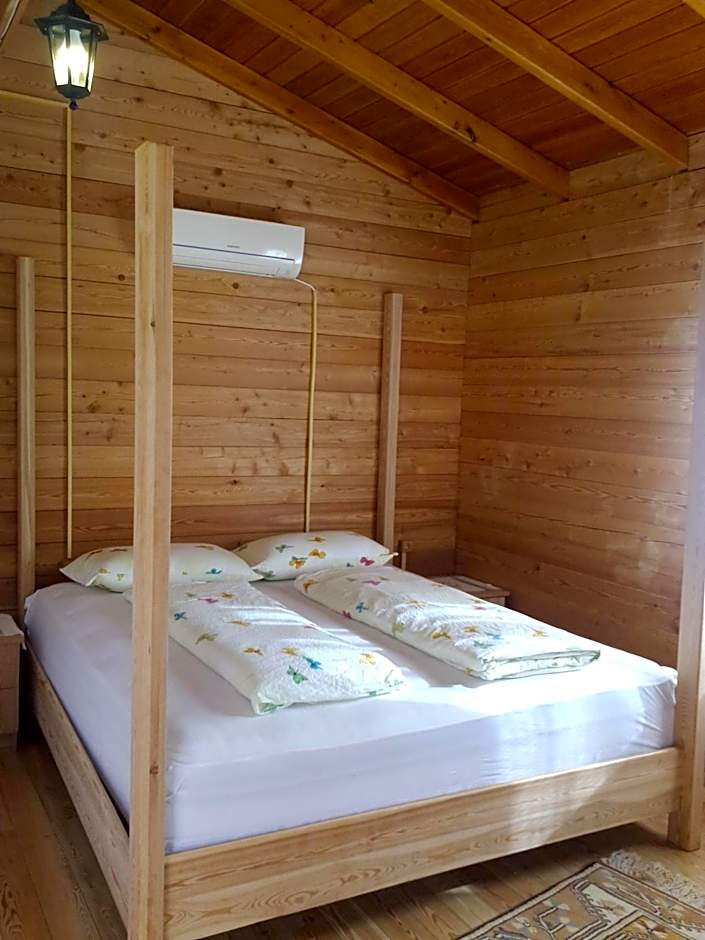 Sakin Vadi Winehouse