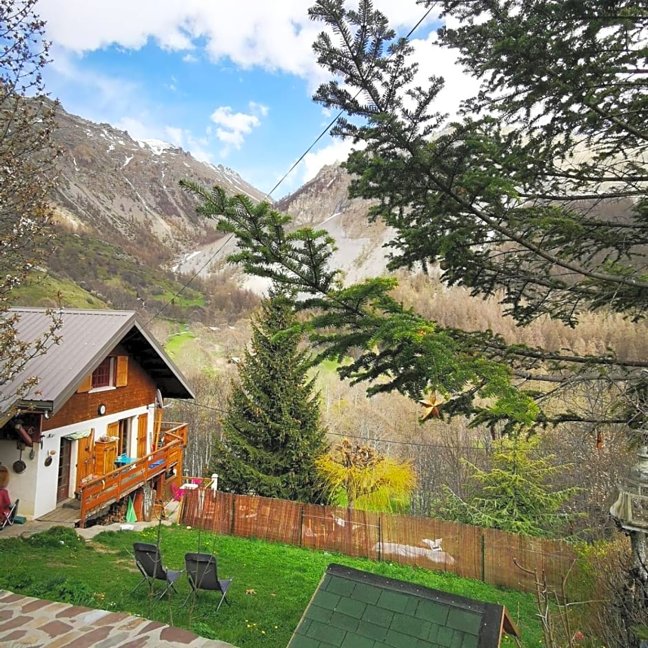 Les marmottes d Estenc