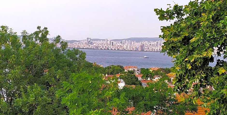 Büyükada Anastasia Meziki History Mansion