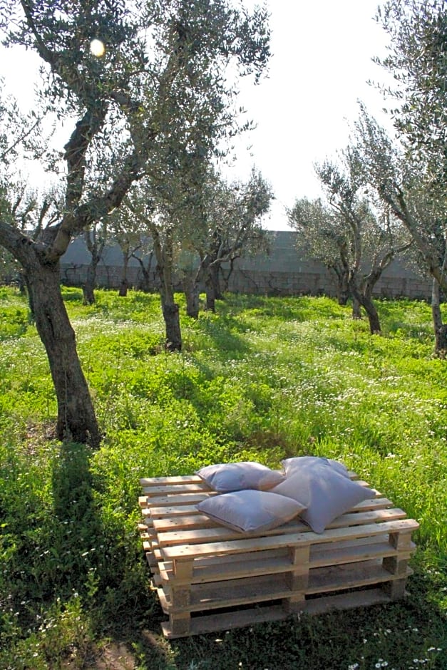 Piccolo Ulivo B&B Salento