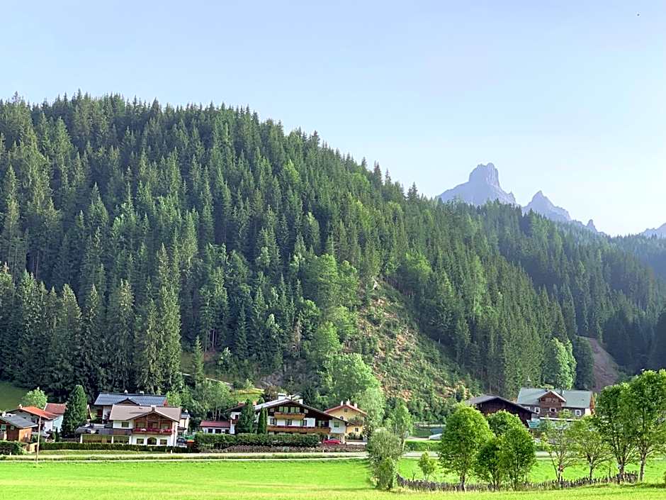 Die Filzmooserin - smart living apartments in Filzmoos, Filzmoos Card inklusive