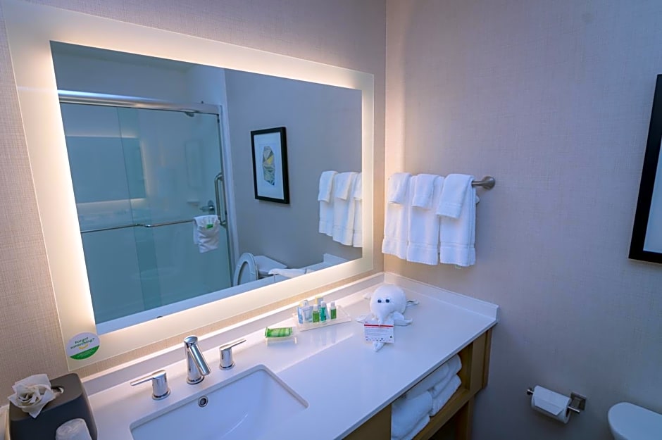 Holiday Inn & Suites Houston NW - Willowbrook By IHG
