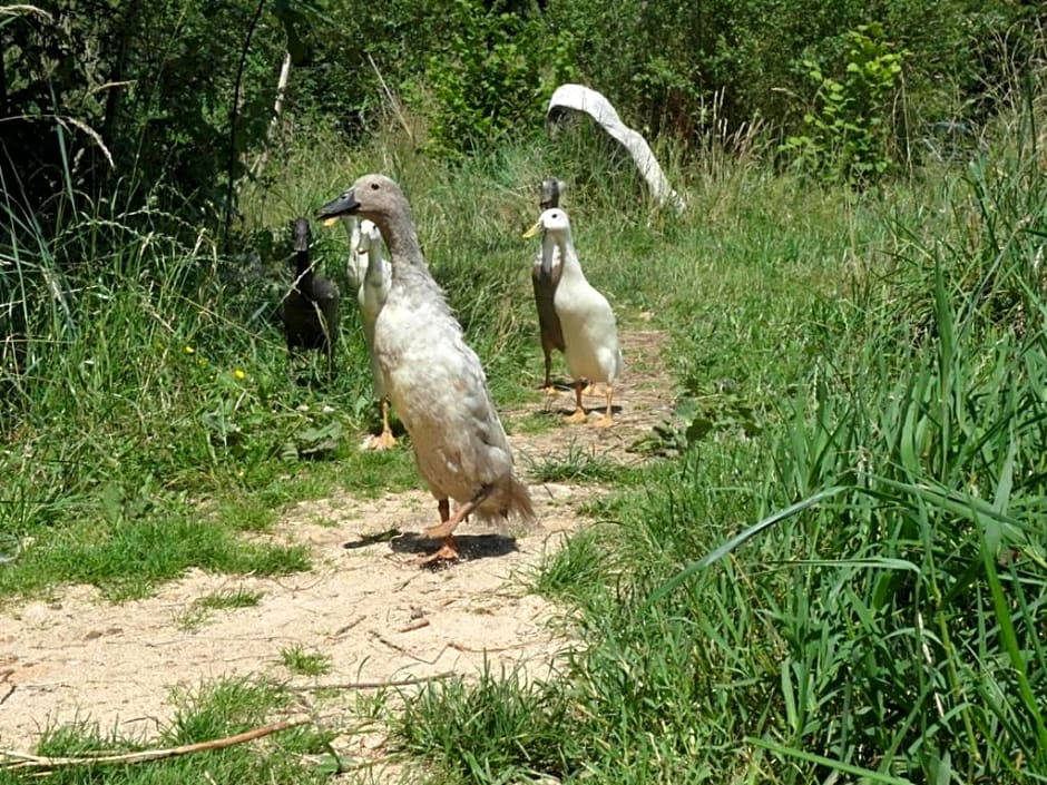 B&B - Chambres d'Hôtes Acoucoula