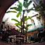 Riad Dar Mchicha