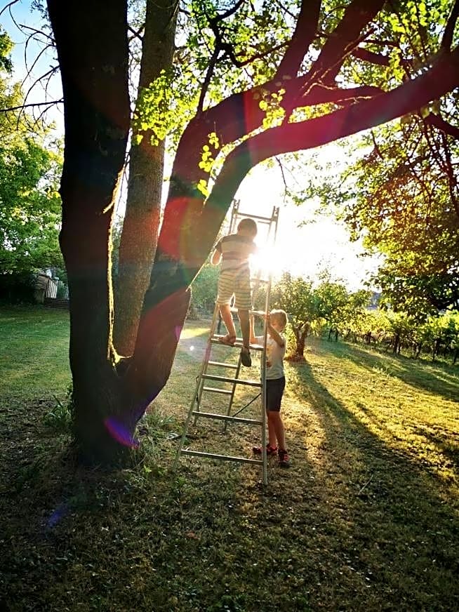 Le Bonheur- Suite Cognac