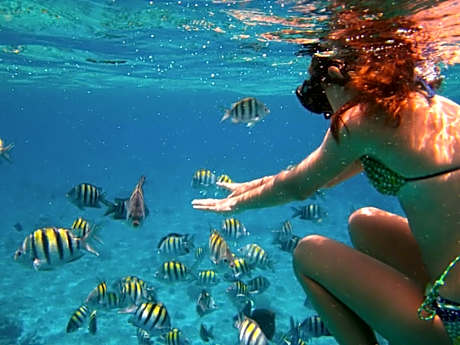 Parrot Resort Moalboal