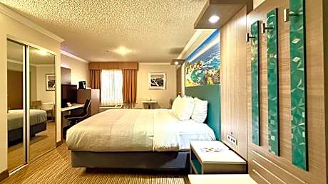 1 King Bed, Nonsmoking, Accessible