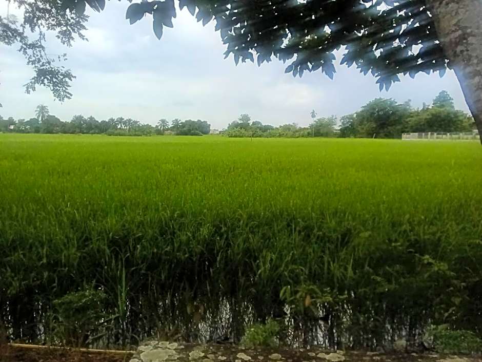 Tung Tong Homestay & Camping