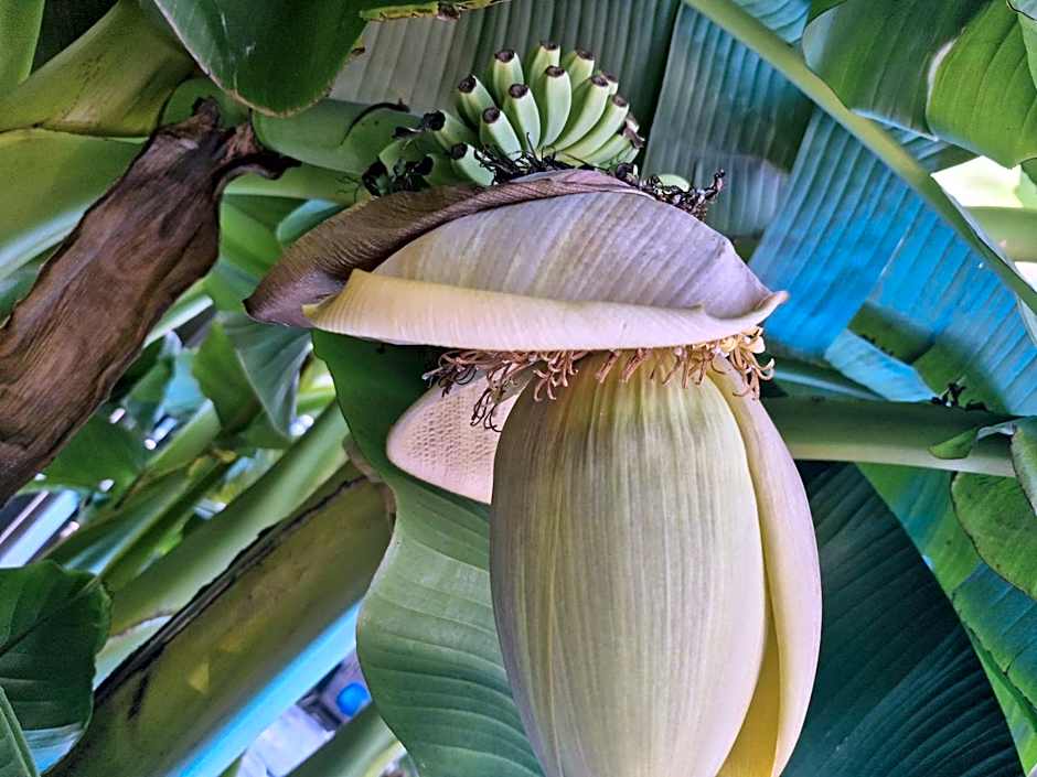 Apartmenthaus Wertheim