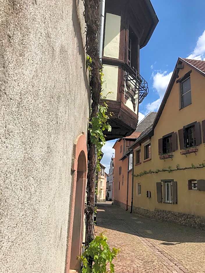 AUX DEUX CIGOGNES AMMERSCHWIHR