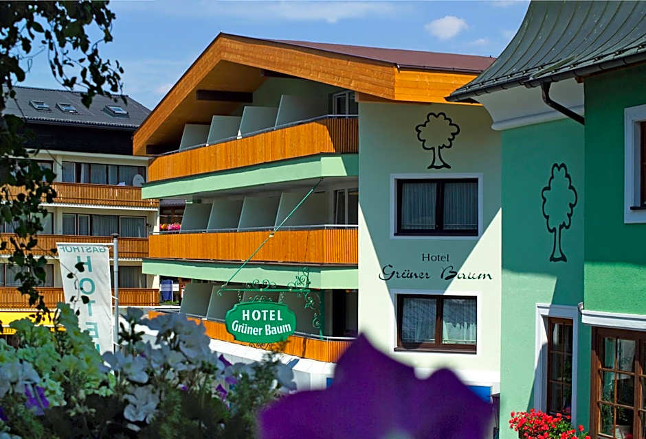 Hotel Grüner Baum