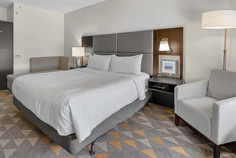 Holiday Inn and Suites Dallas-Addison By IHG