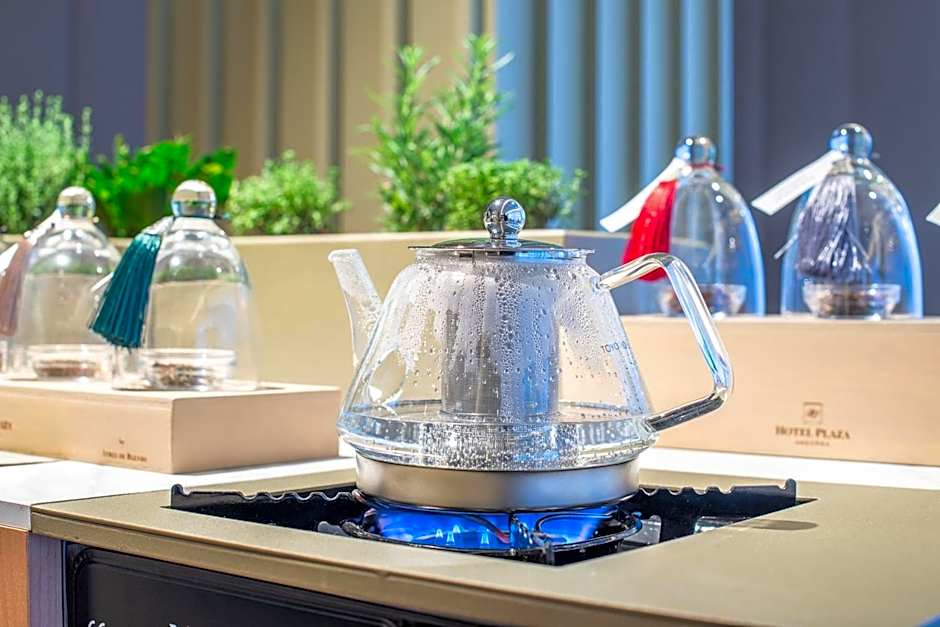 Grand Plaza Hotel & Wellness