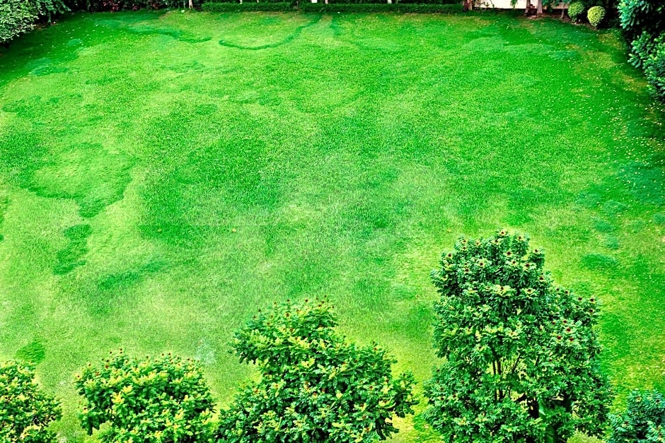 Aloft Bengaluru Whitefield