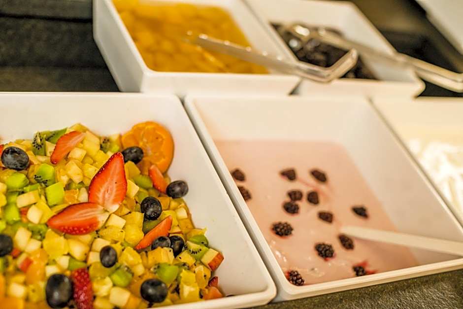 Alpin Hotel Sonnblick