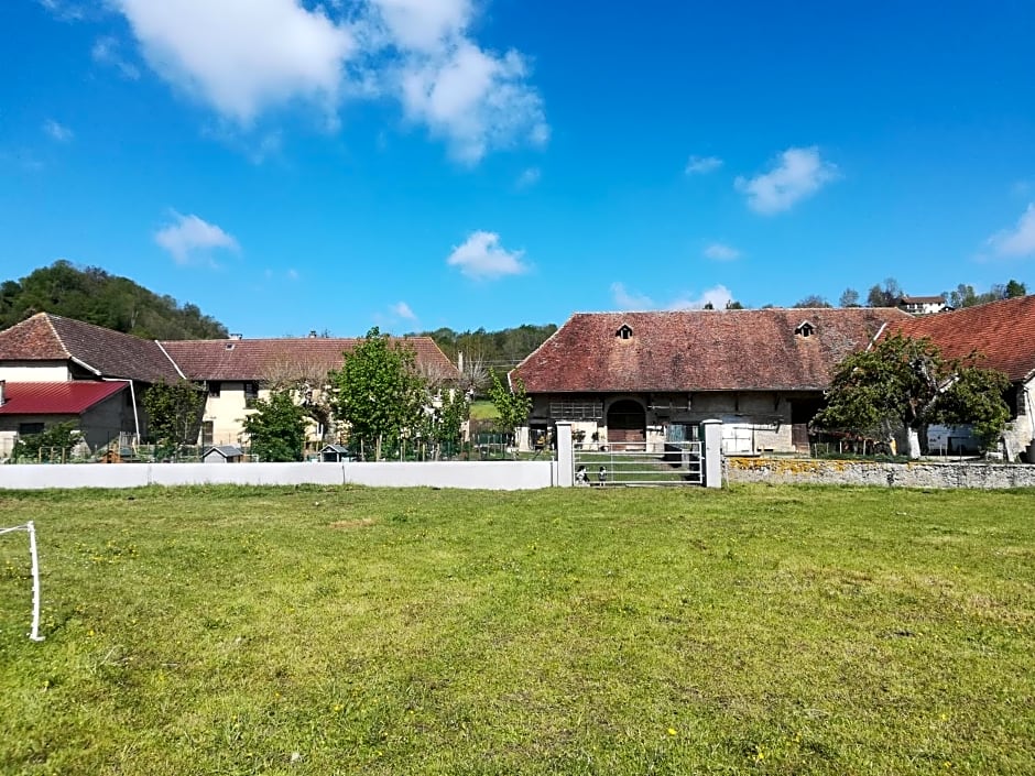 Ferme les poneys de la Durme