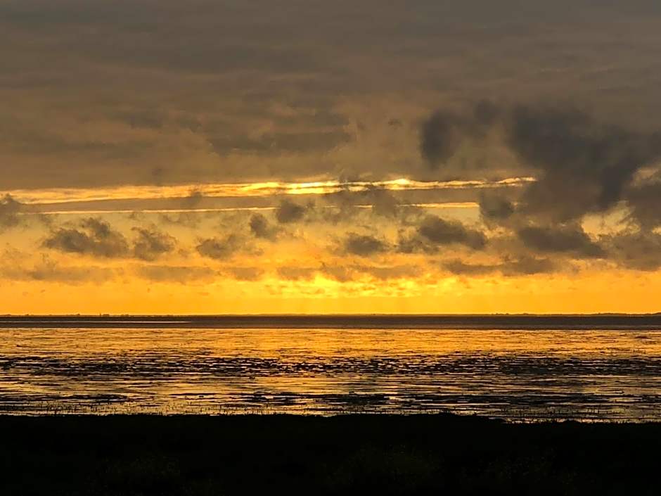 Het Huis van de Wadden