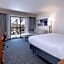 Courtyard by Marriott Tampa North/I-75 Fletcher