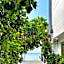 Rashu Hiyaa Hotel Dhiffushi