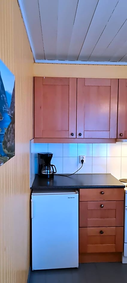 Lærdal Ferie- og Fritidspark