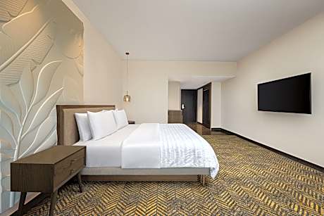 Club Room, 1 King Bed, City View