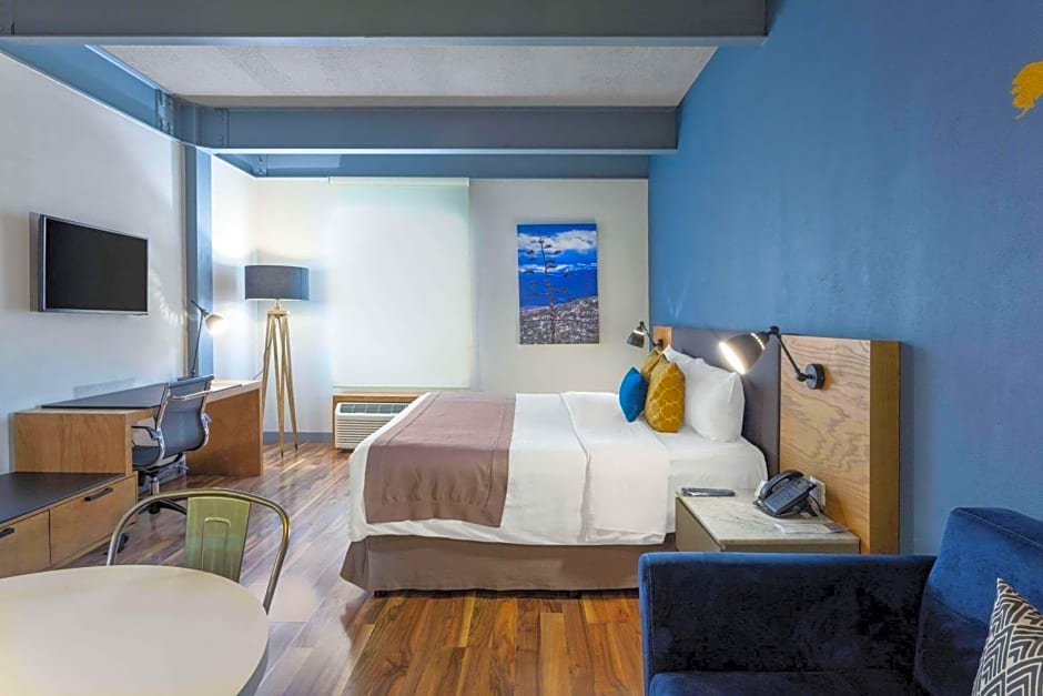 TRYP by Wyndham San Luis Potosi Hotel & Suites