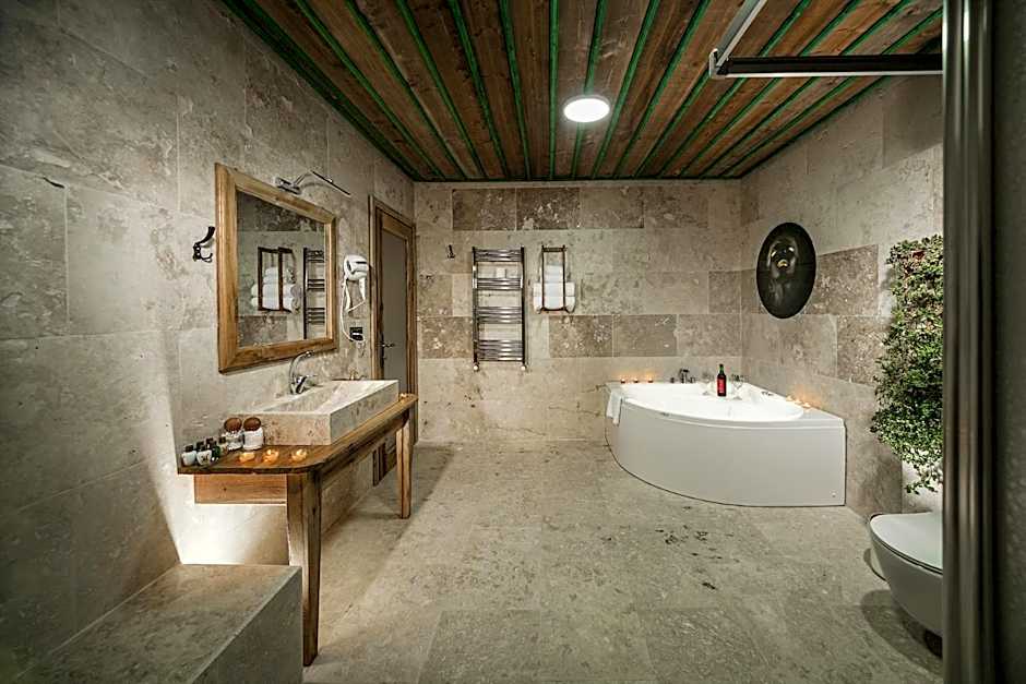 Serene Premium Stone House