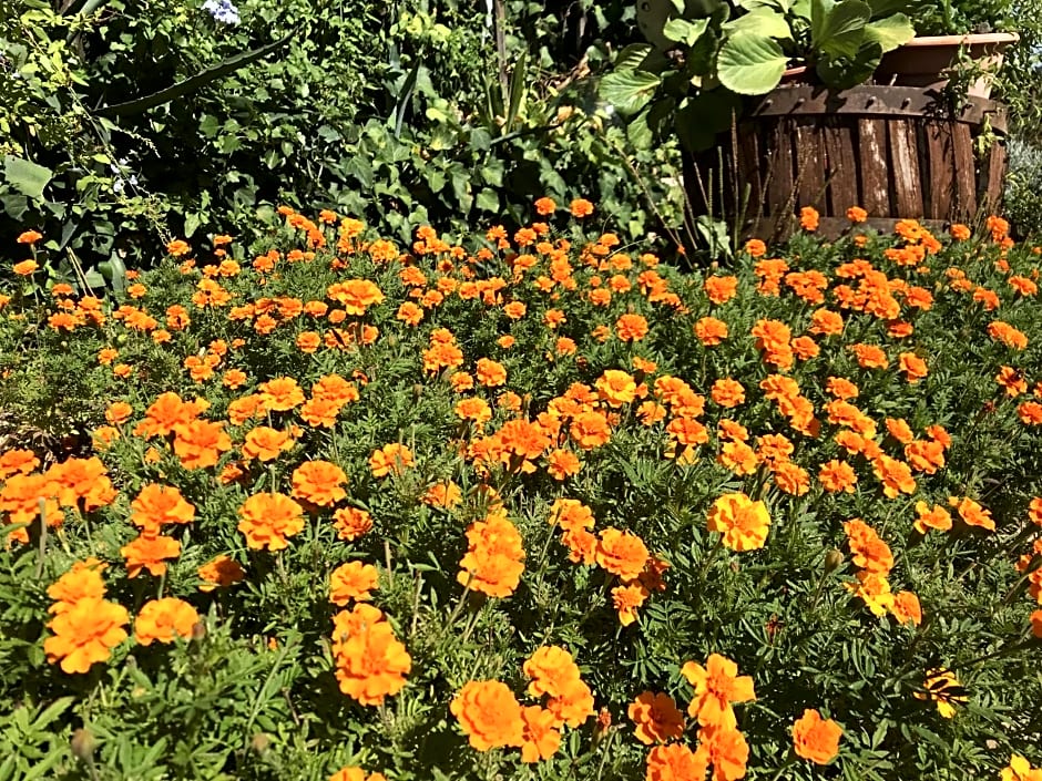 B&B Prato San Lorenzo