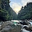 Asim Paris Guesthouse & jungle trekking