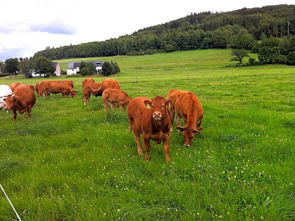 Müllisch's Hof Hotel