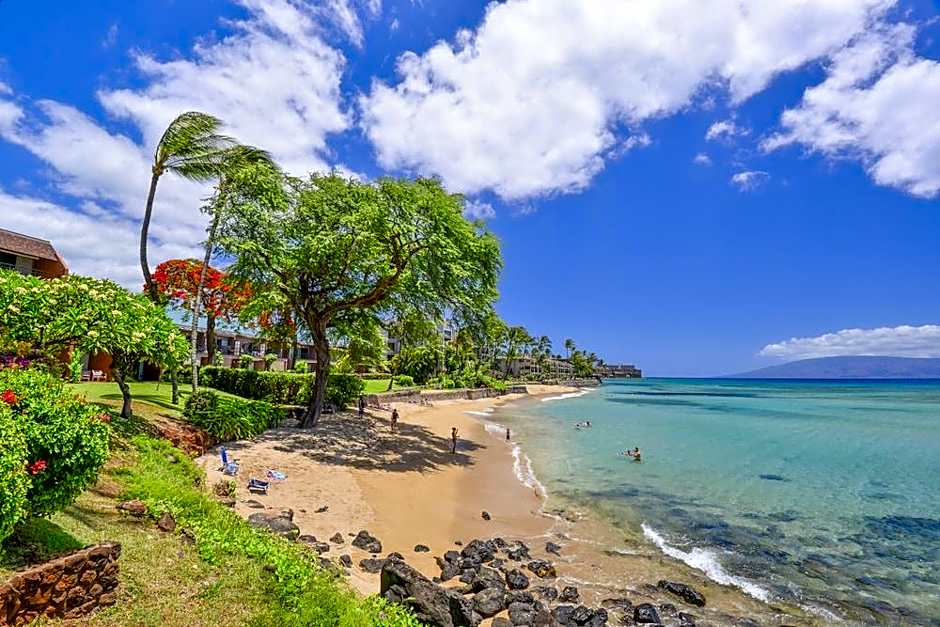 Kuleana 208 - 1Br Condo