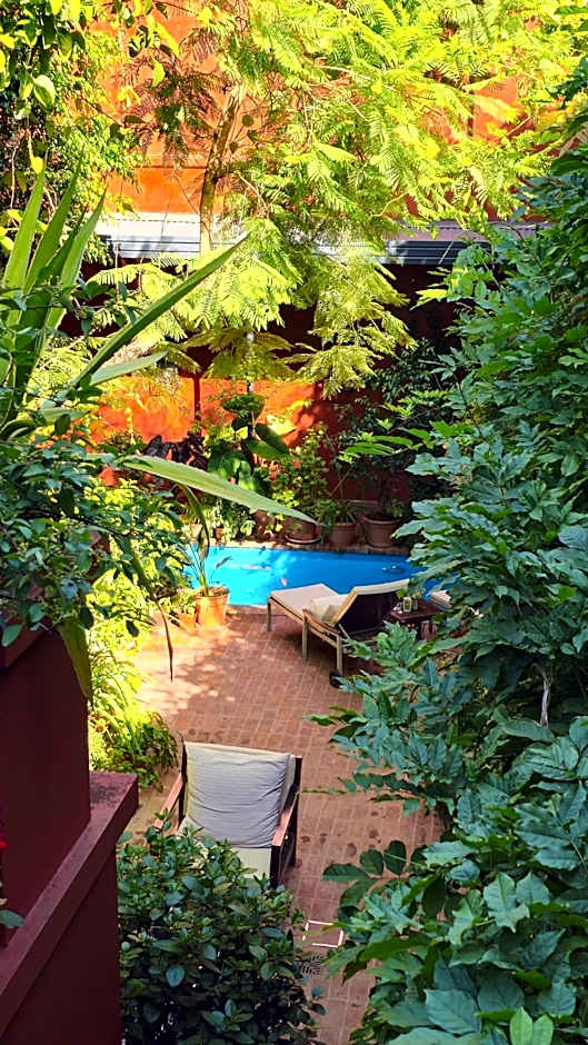 BE Jardin Escondido By Coppola