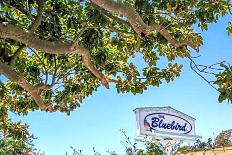 Bluebird Inn