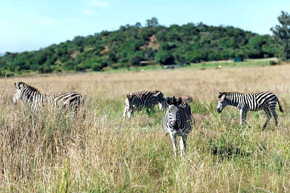 Thaba Eco Hotel