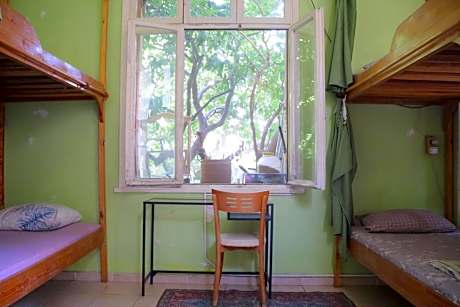 Bed in 6-Bed Mixed Dormitory Room