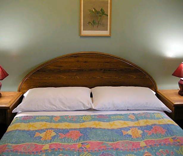 Birch Haven by the Beach