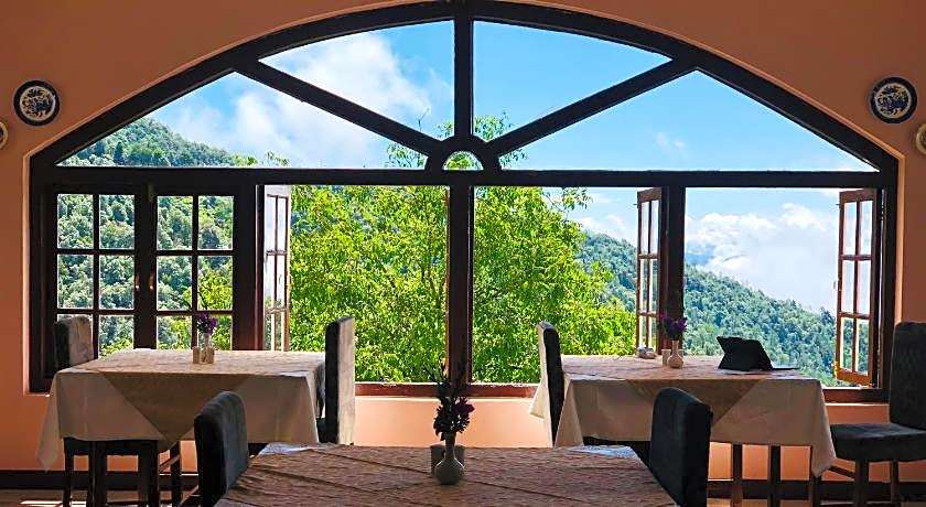 Tree of Life - Grand Oak Manor, Binsar Wildlife Sanctuary