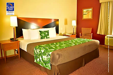 1 King Bed Nonsmoking