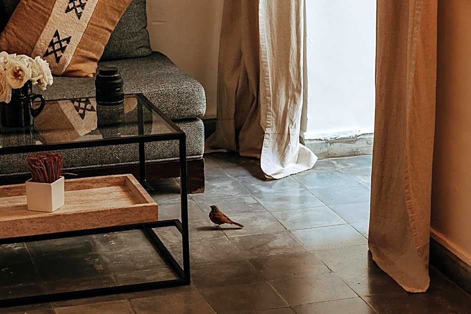 Riad Villa Wengé & Spa