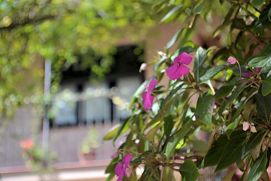 Posada de la flor